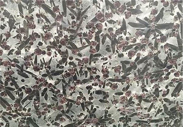 Black Meteorite Granite Polished